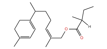 (Z)-gamma-Curcumen-12-yl 2-methylbutyrate
